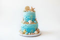 Two Tier Cakes